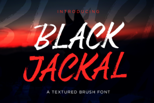Black Jackal: A Playful Display Font for Modern Web Projects
